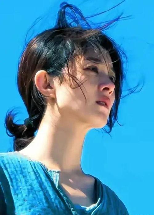 娱乐圈吃瓜王安宇